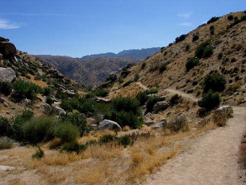 Bradford Ridge Path 2